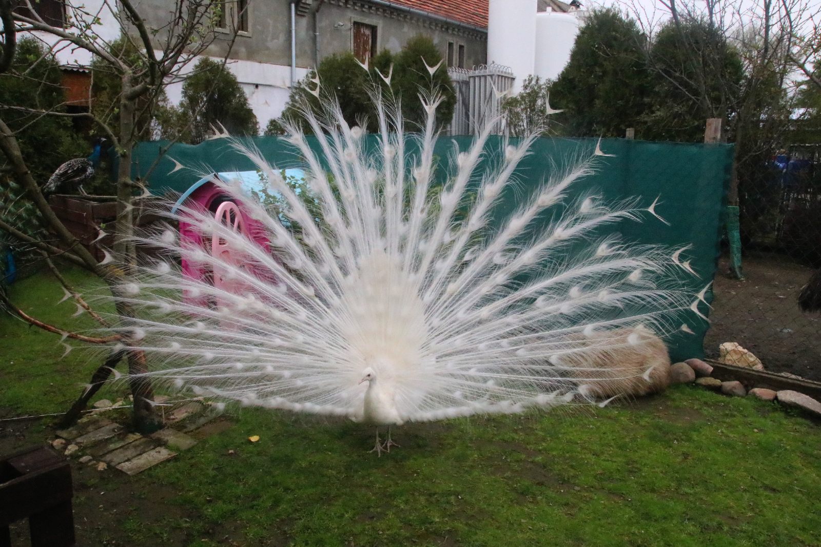 Mini ZOO w Piotrówku otwarte dla zwiedzających