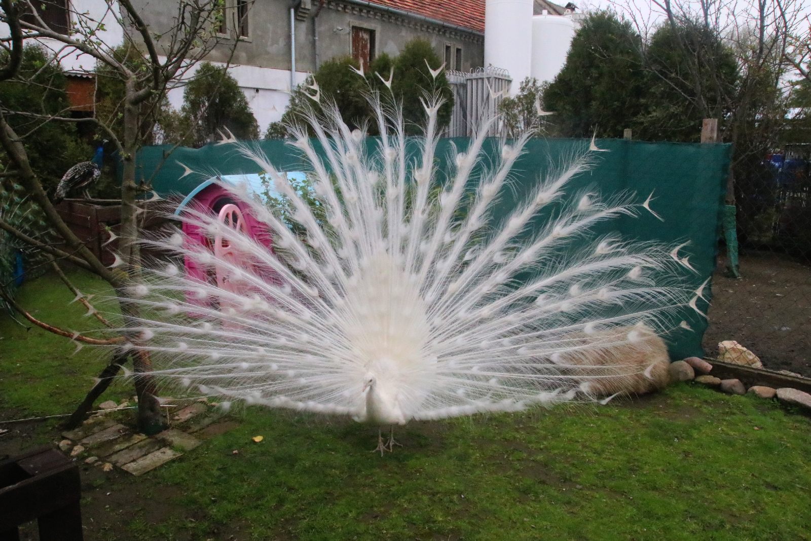 Mini ZOO w Piotrówku otwarte dla zwiedzających