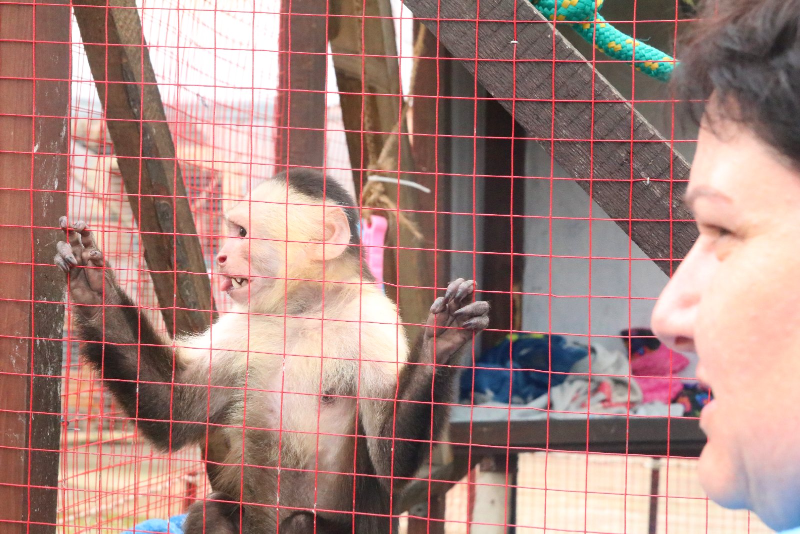 Mini ZOO w Piotrówku otwarte dla zwiedzających