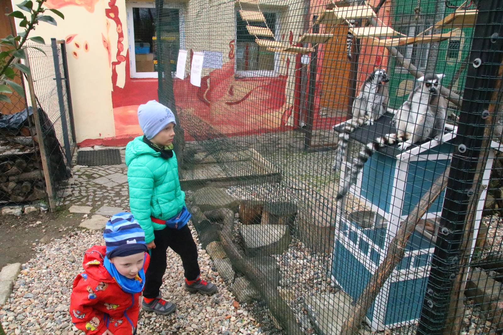 Mini ZOO w Piotrówku otwarte dla zwiedzających