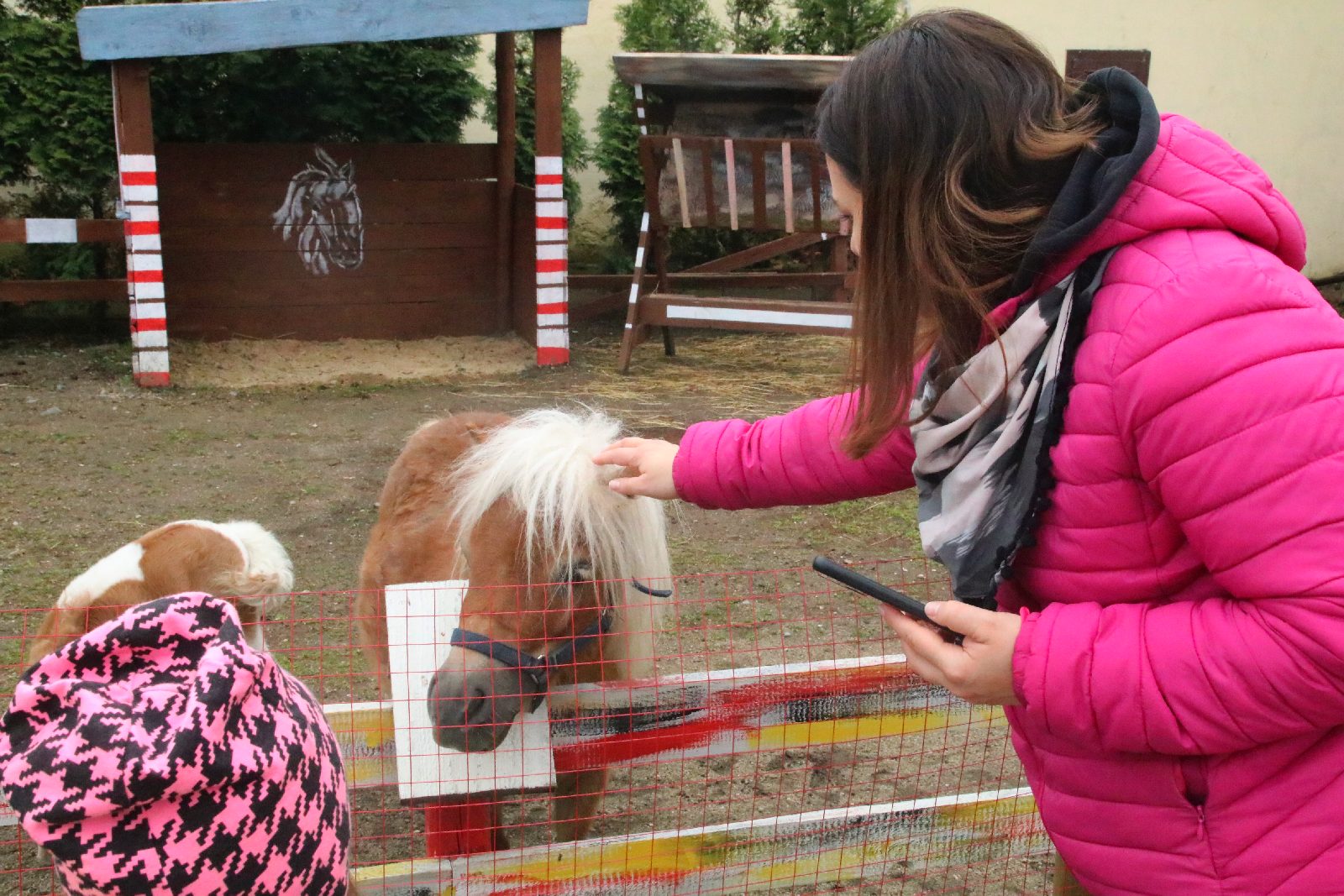 Mini ZOO w Piotrówku otwarte dla zwiedzających