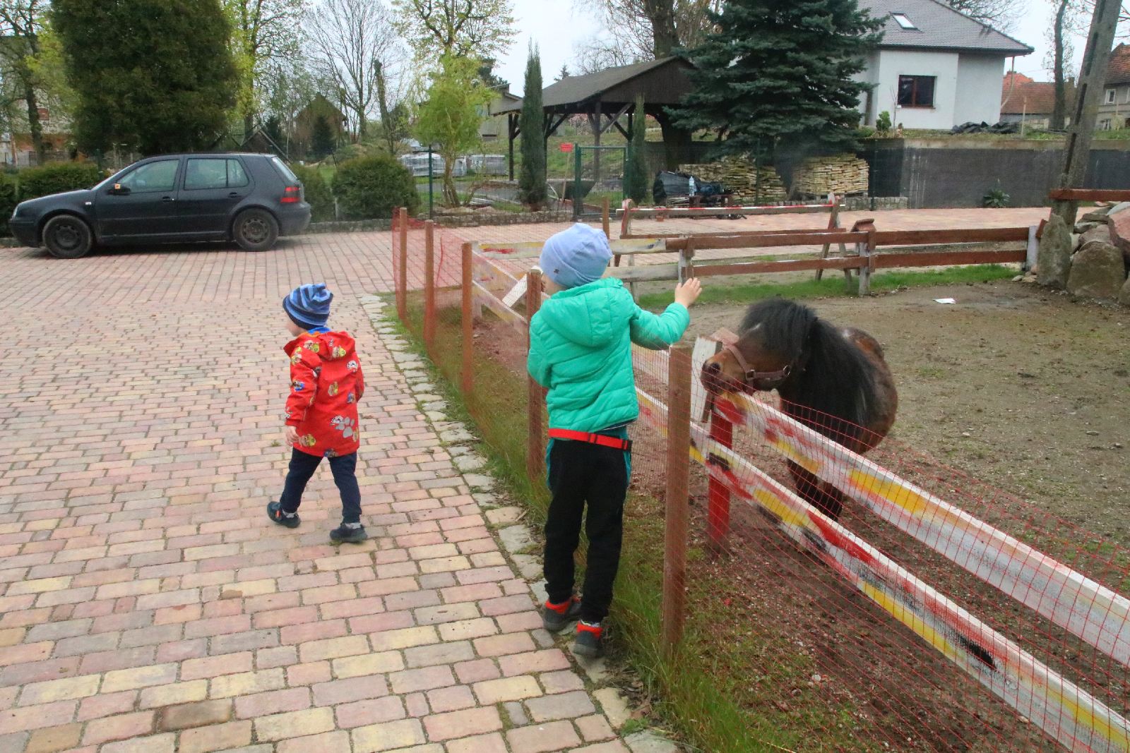 Mini ZOO w Piotrówku otwarte dla zwiedzających