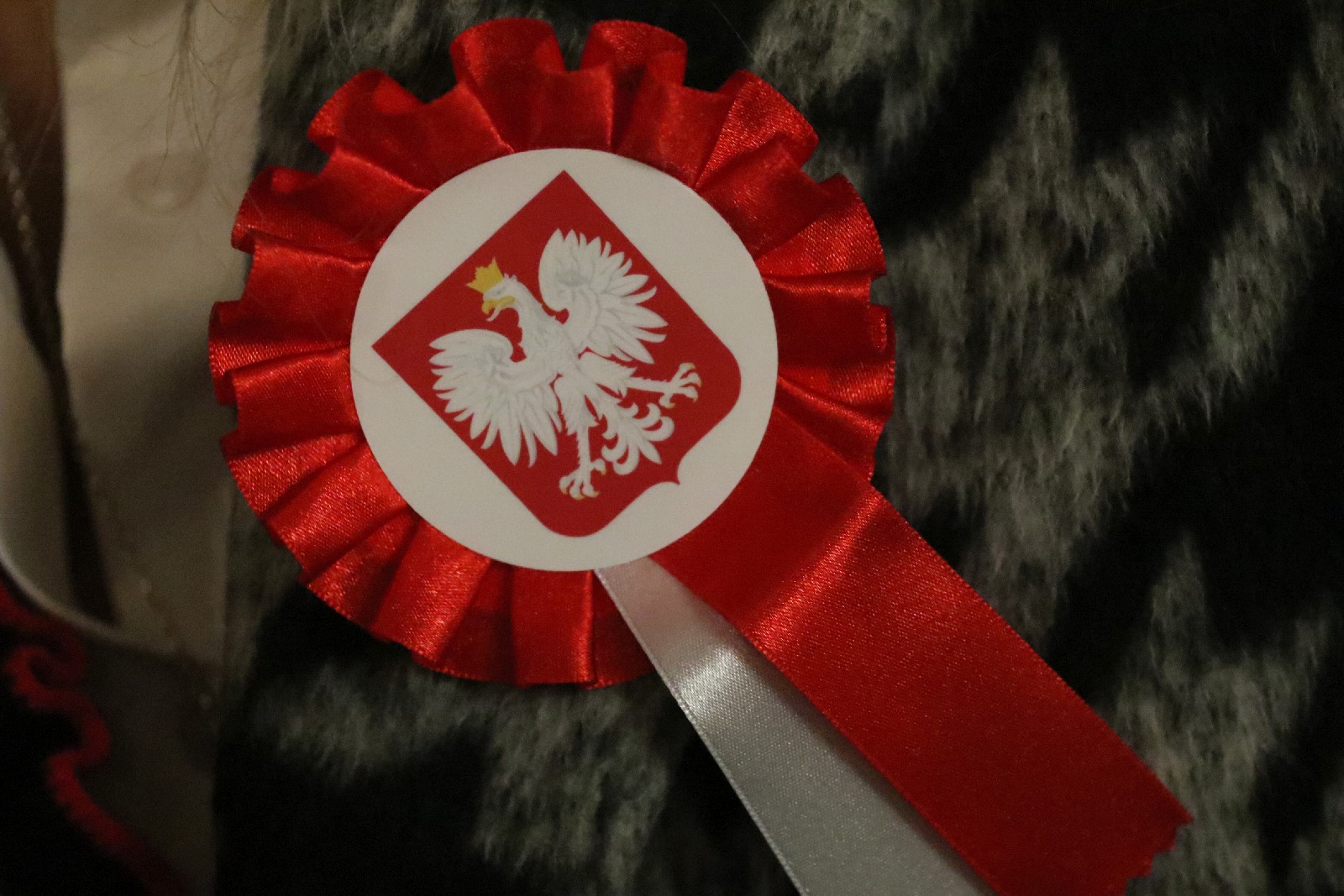 Wojewódzkie obchody rocznicy uchwalenia Konstytucji 3 maja