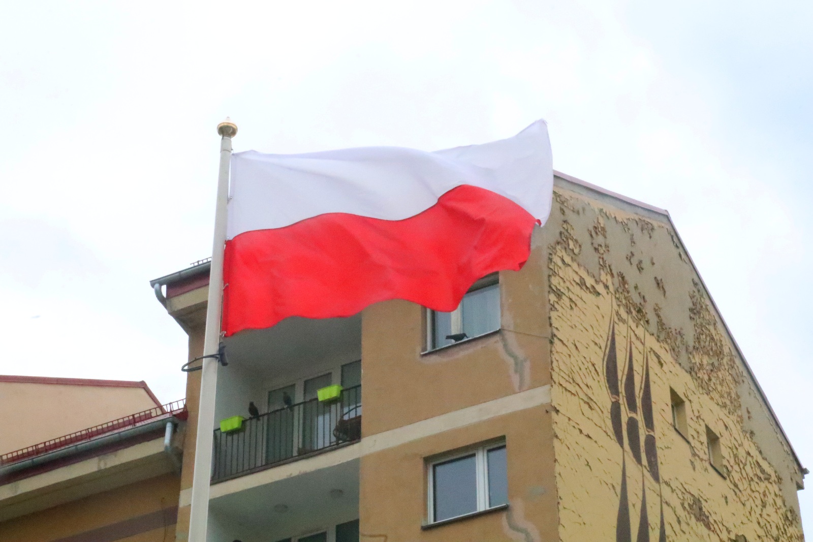 Wojewódzkie obchody rocznicy uchwalenia Konstytucji 3 maja