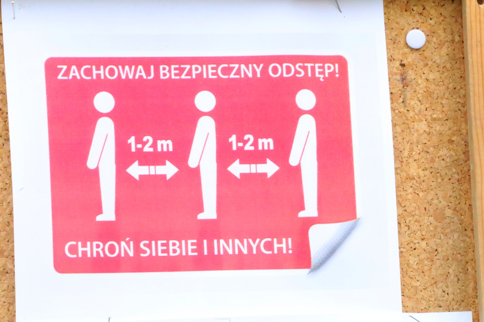 Maturzyści z I Liceum Ogólnokształcącego przystąpili do matury