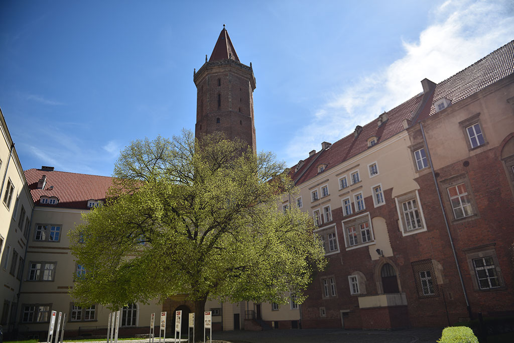 Zobaczcie jak niesamowite są widoki z wieży św. Piotra