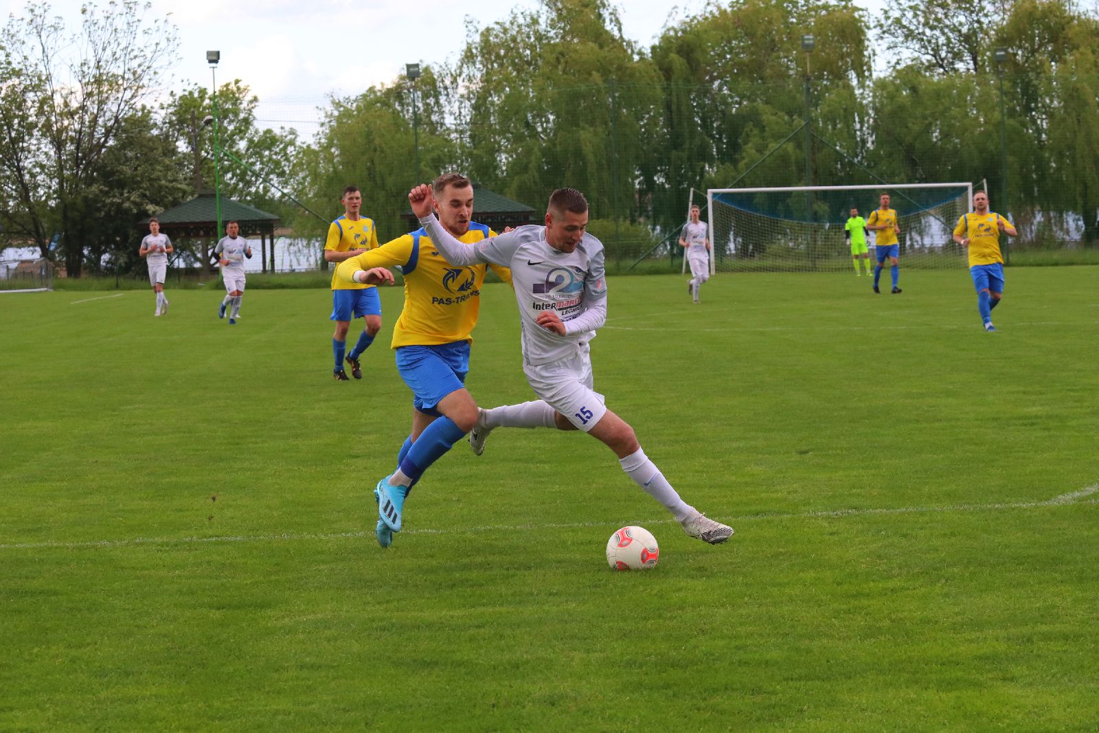 Gryf bez szans w starciu z Mewą Kunice
