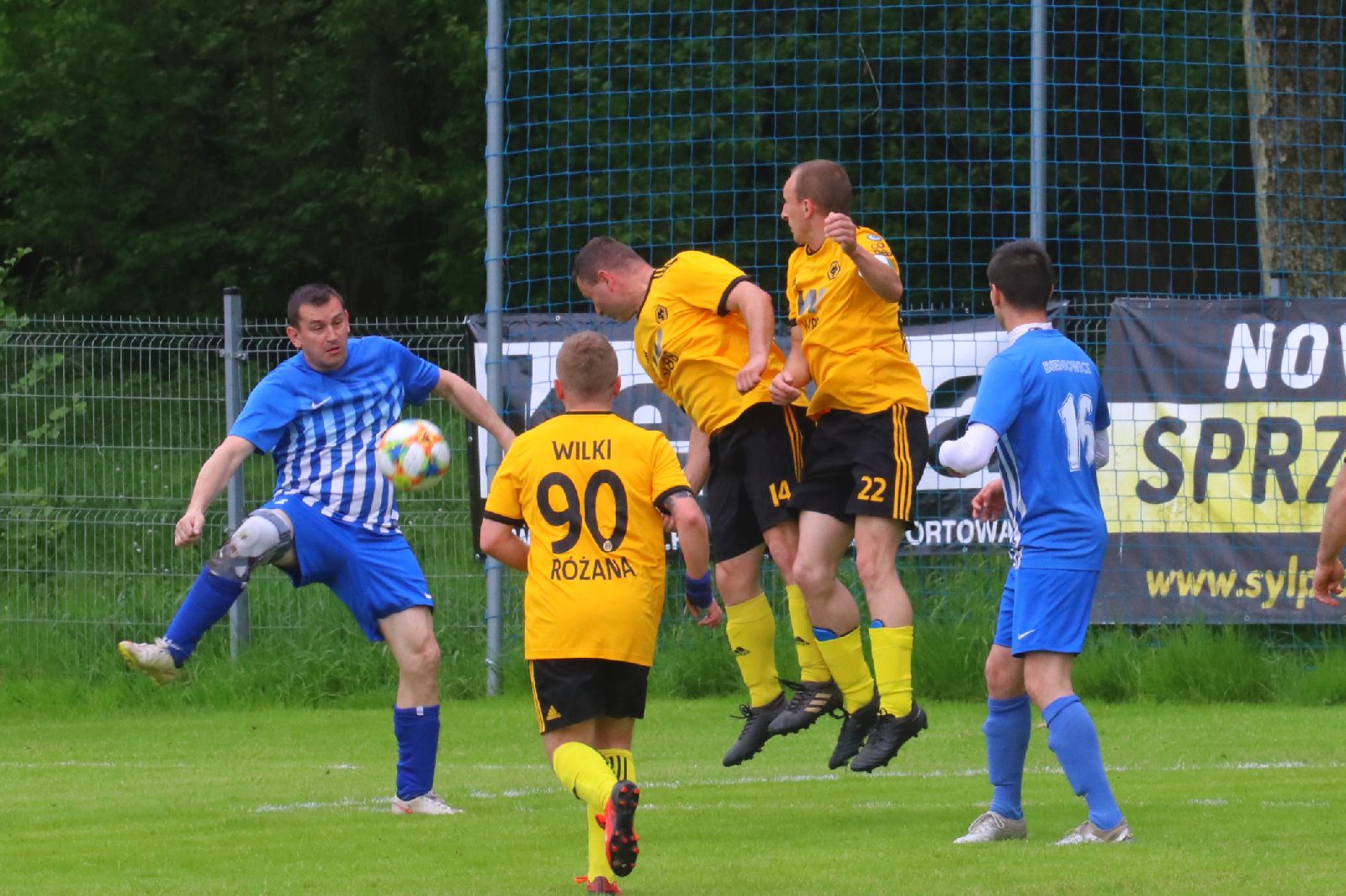 Kaczawa Bieniowice przegrała z Wilkami, mimo dobrej gry