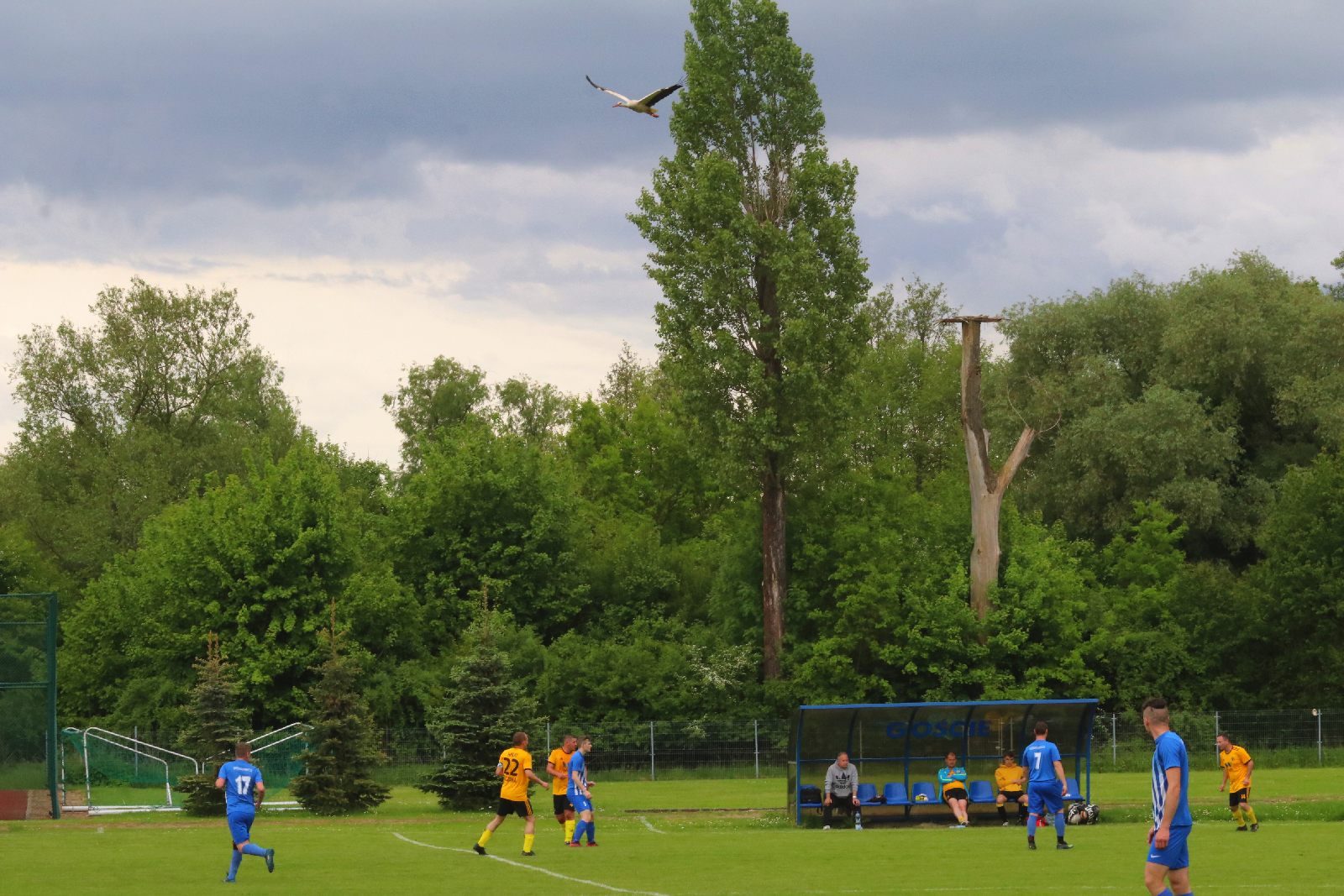 Kaczawa Bieniowice przegrała z Wilkami, mimo dobrej gry