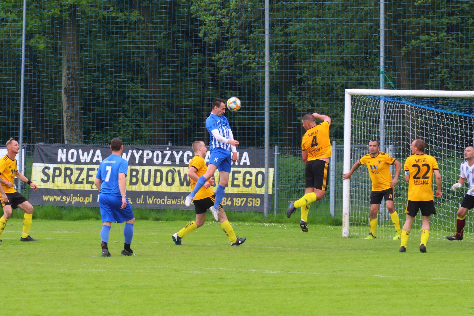 Kaczawa Bieniowice przegrała z Wilkami, mimo dobrej gry