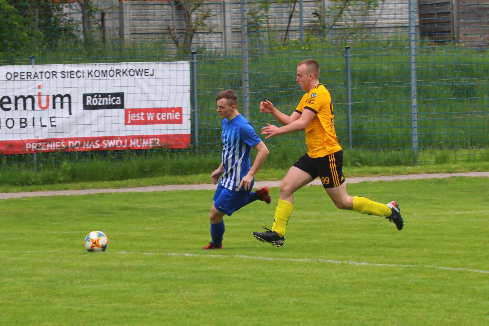 Kaczawa Bieniowice przegrała z Wilkami, mimo dobrej gry