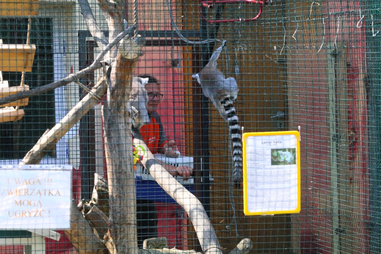 Mini ZOO w Piotrówku przyciąga coraz wiecej osób       
