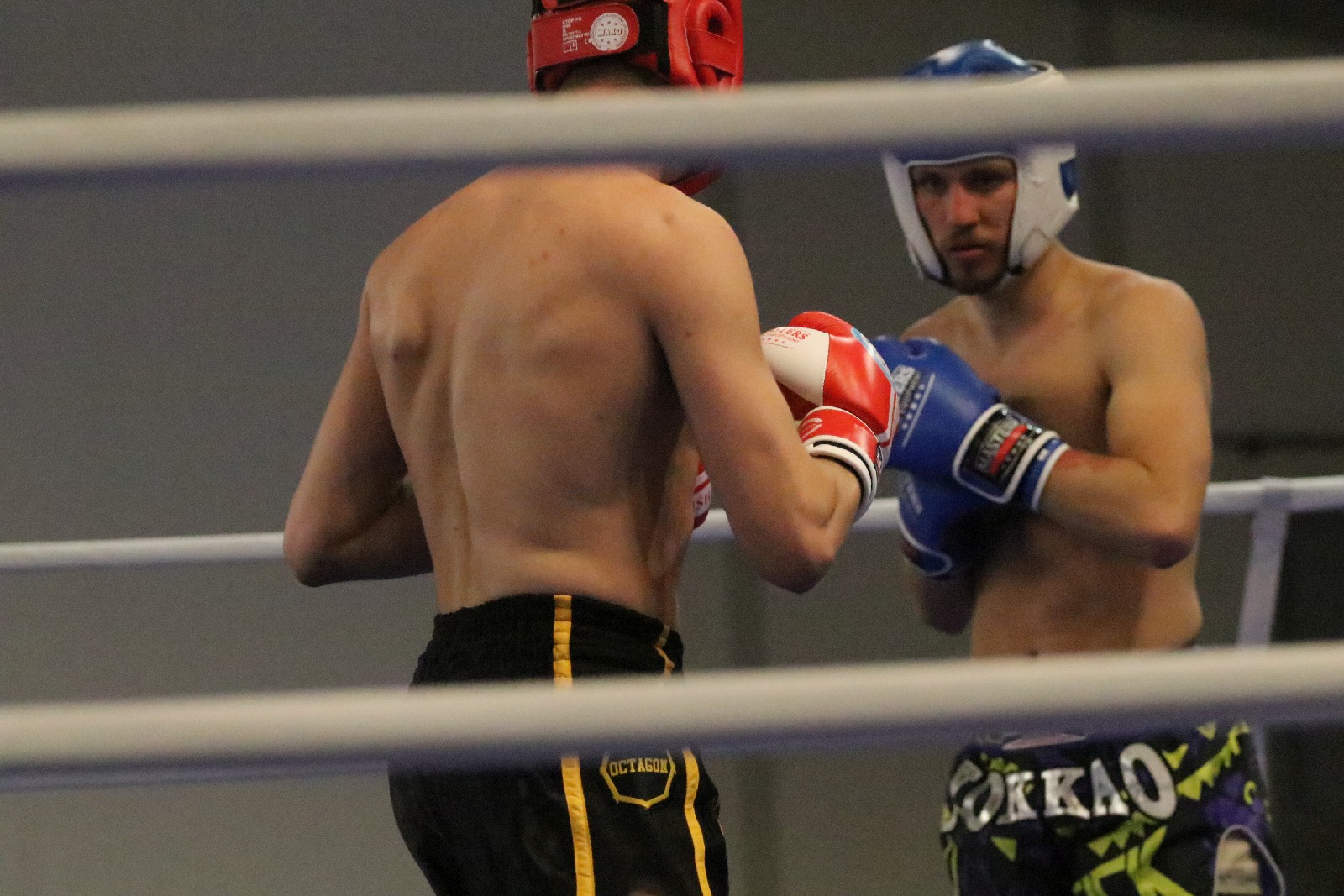 Mistrzostwa Polski Seniorów i Juniorów w kickboxingu cz1