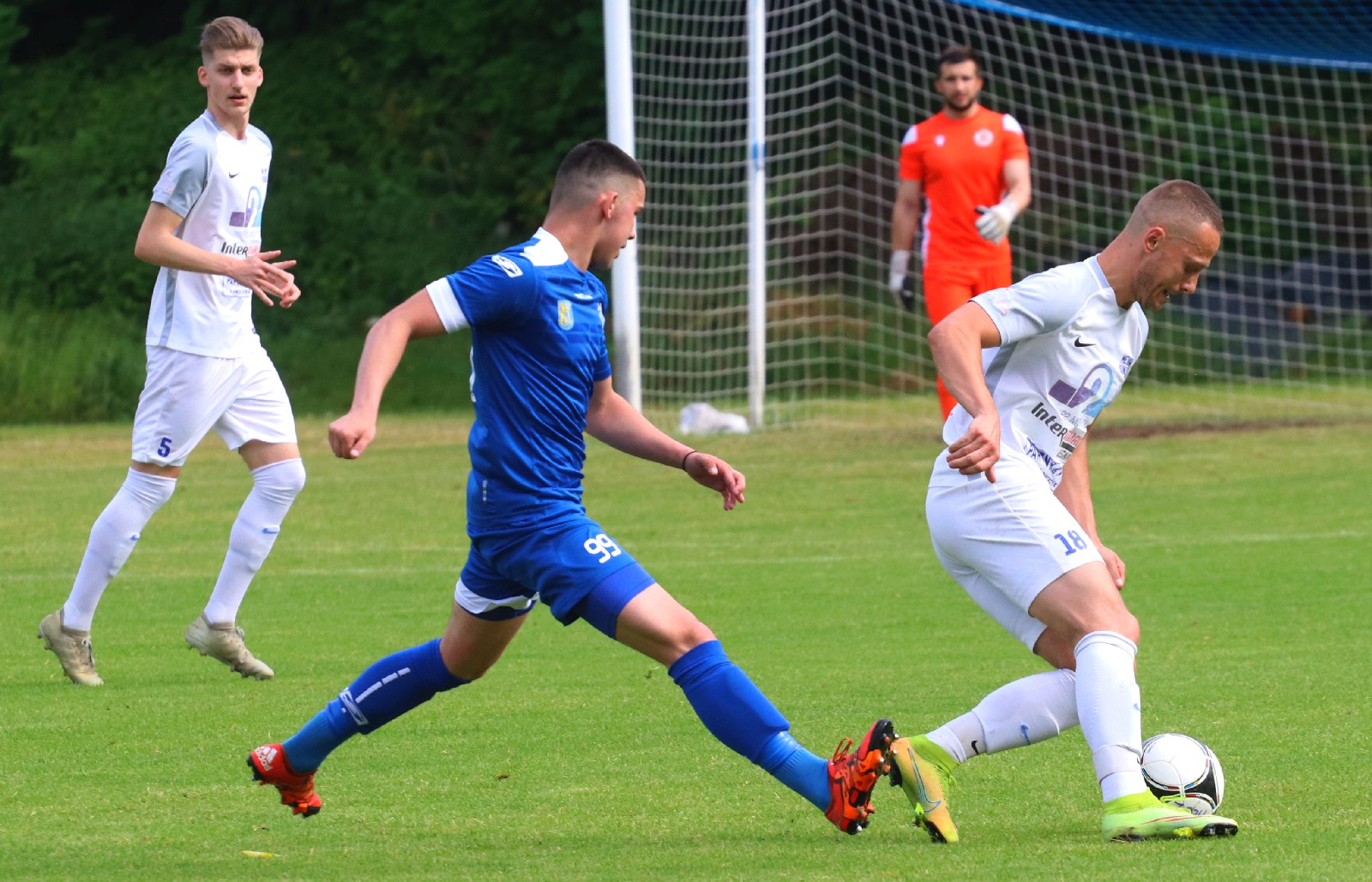 Ważne domowe zwycięstwo Konfeksu Legnica nad Mewą Kunice