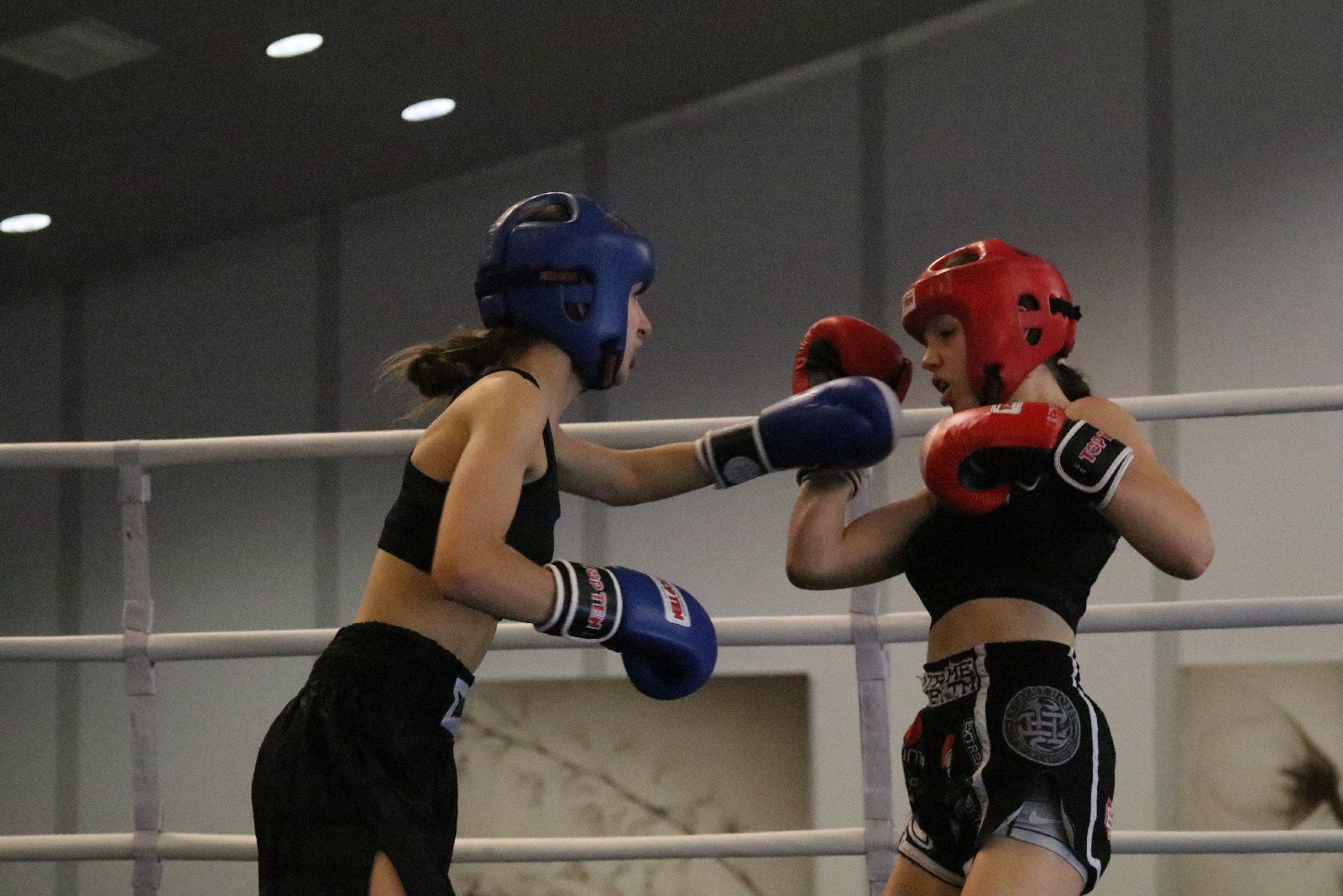 Mistrzostwa Polski Seniorów i Juniorów w kickboxingu cz3