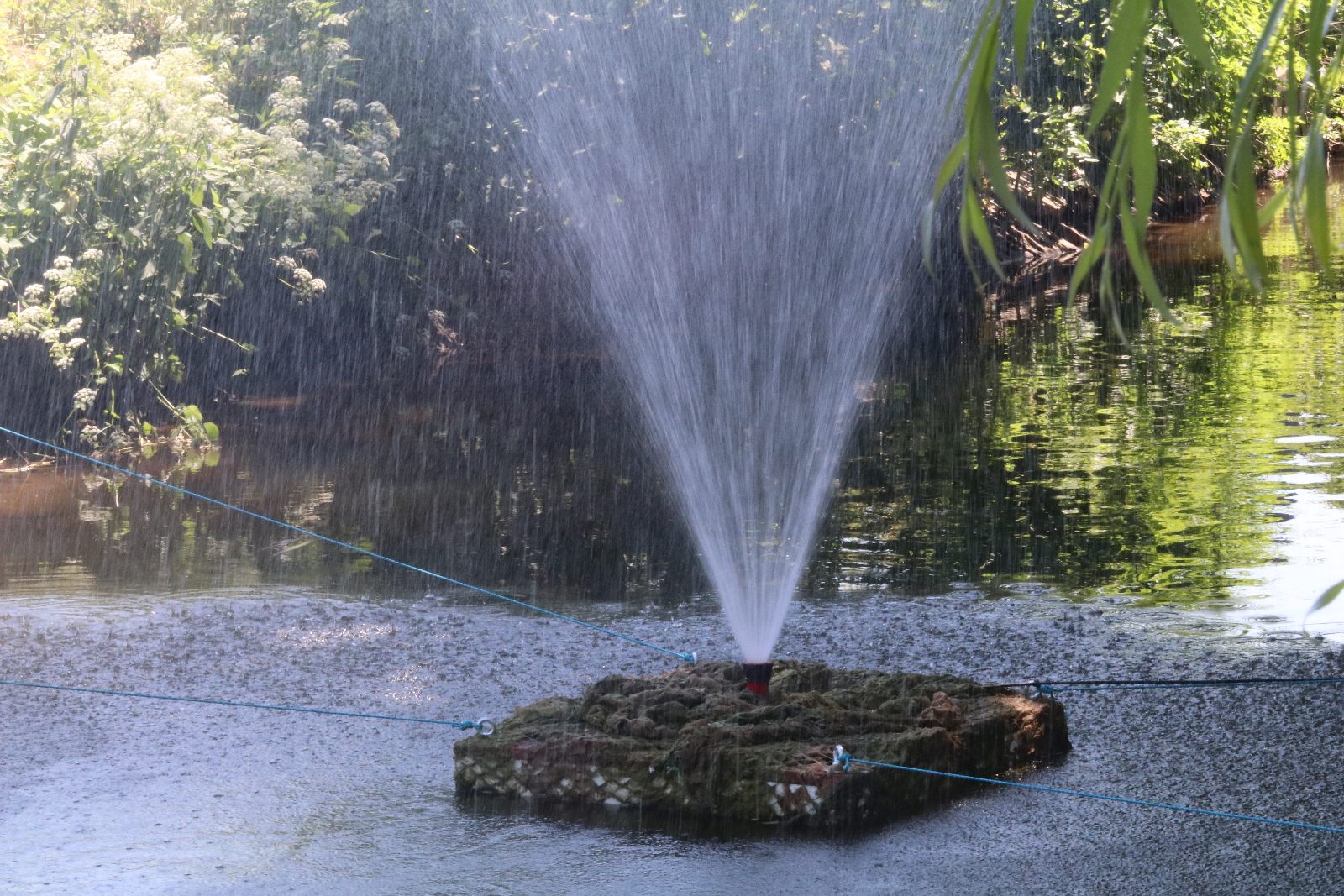 Mieszkańcy Prochowic na rodzinnym pikniku powitali lato