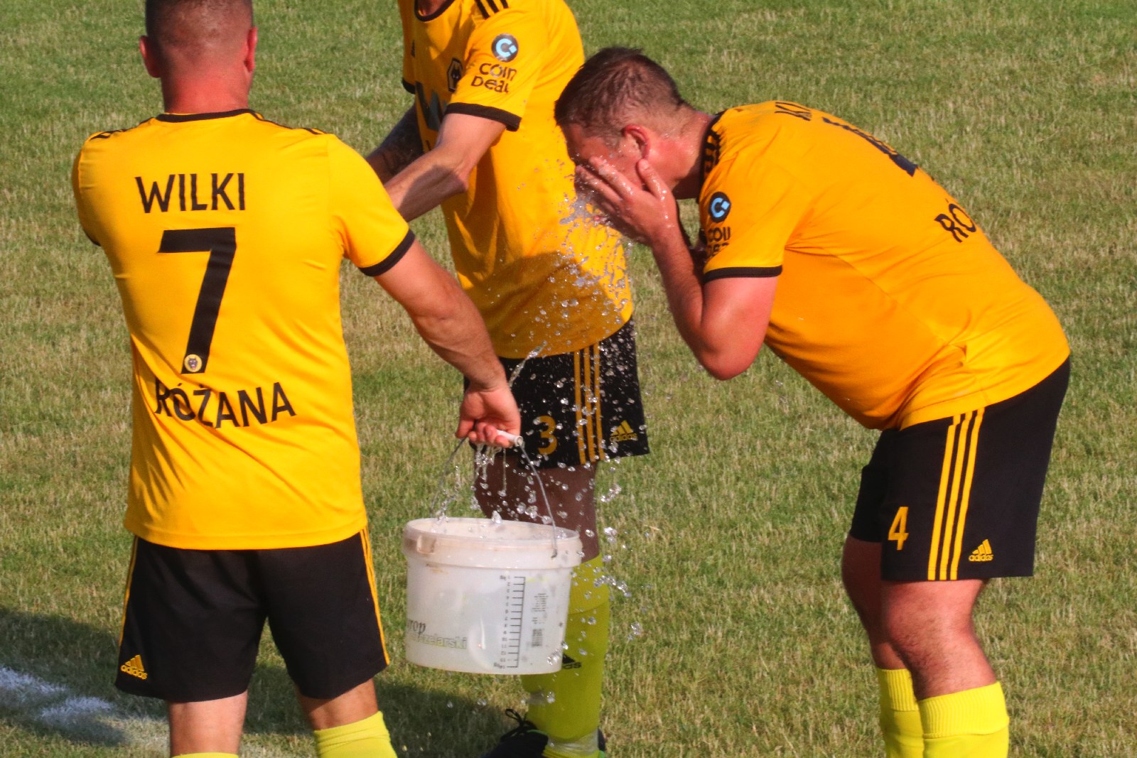 Niespodzianka w Mikołajowicach. Orzeł zatrzymał Wilki Różana