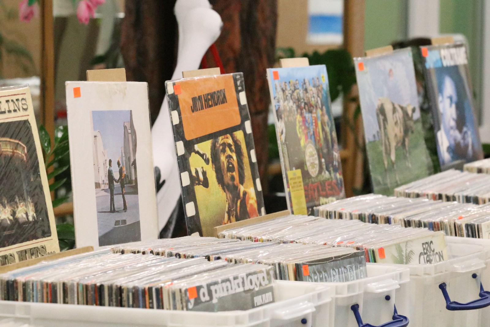 Giełda płyt winylowych i CD ponownie w Domu Kultury Atrium