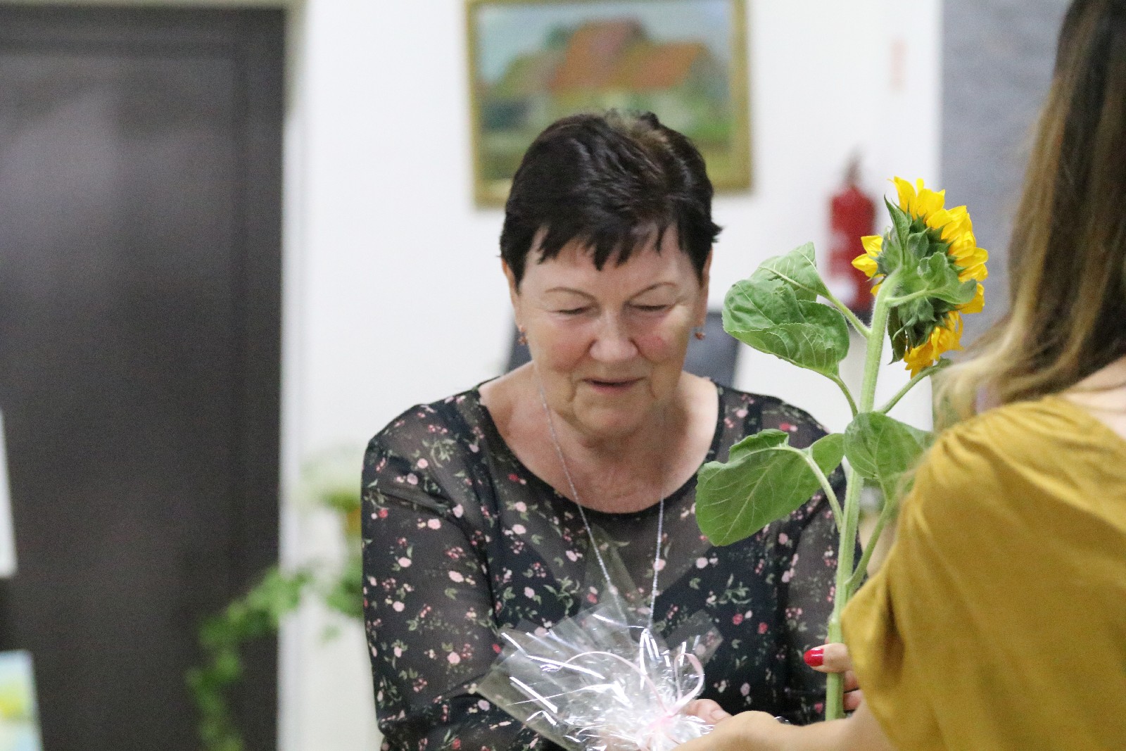 35. Międzynarodowy Plener Plastyczny przeszedł do historii