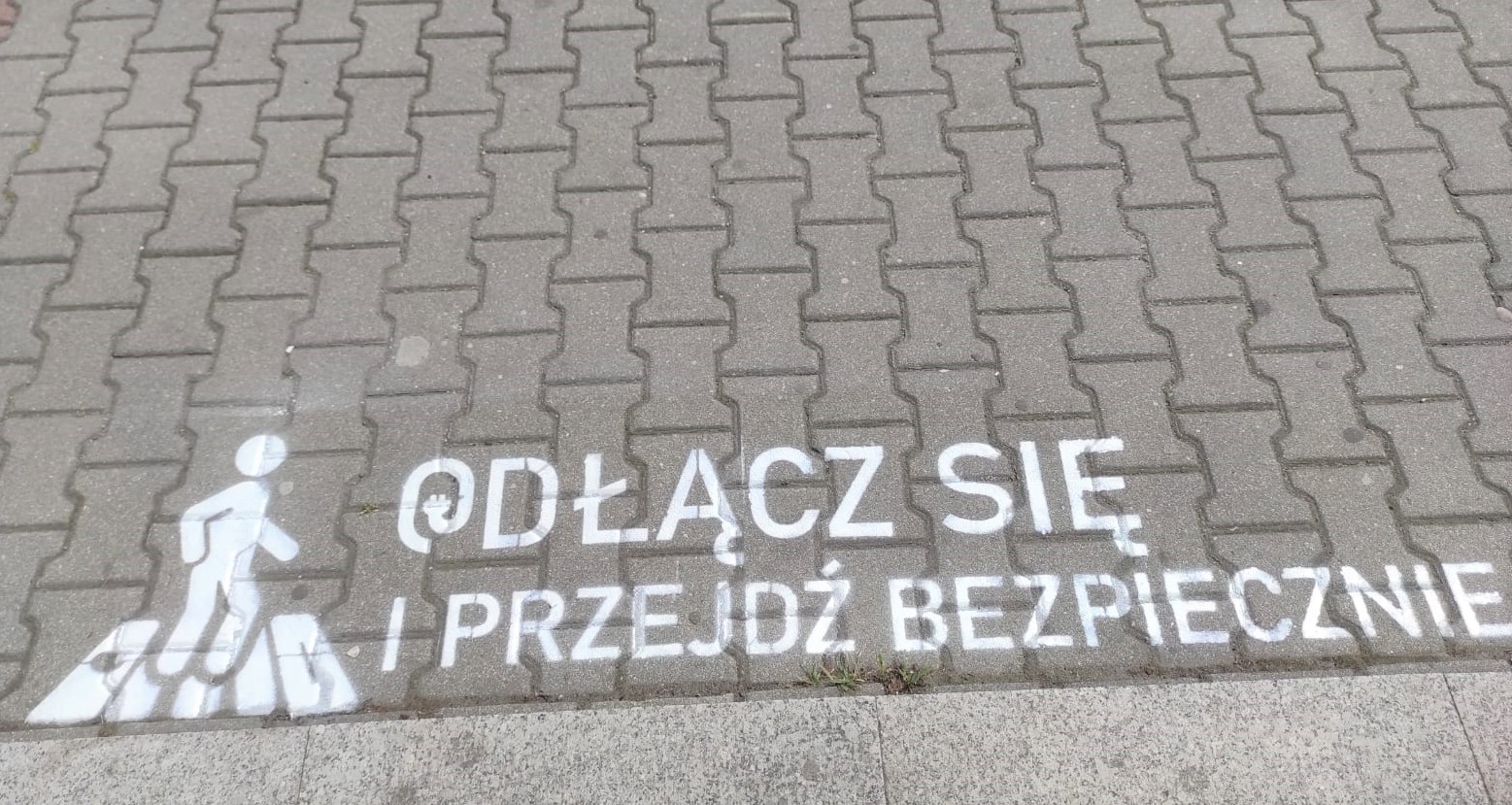 Niezwykle cenna inicjatywa młodzieży. Mają wsparcie starostwa