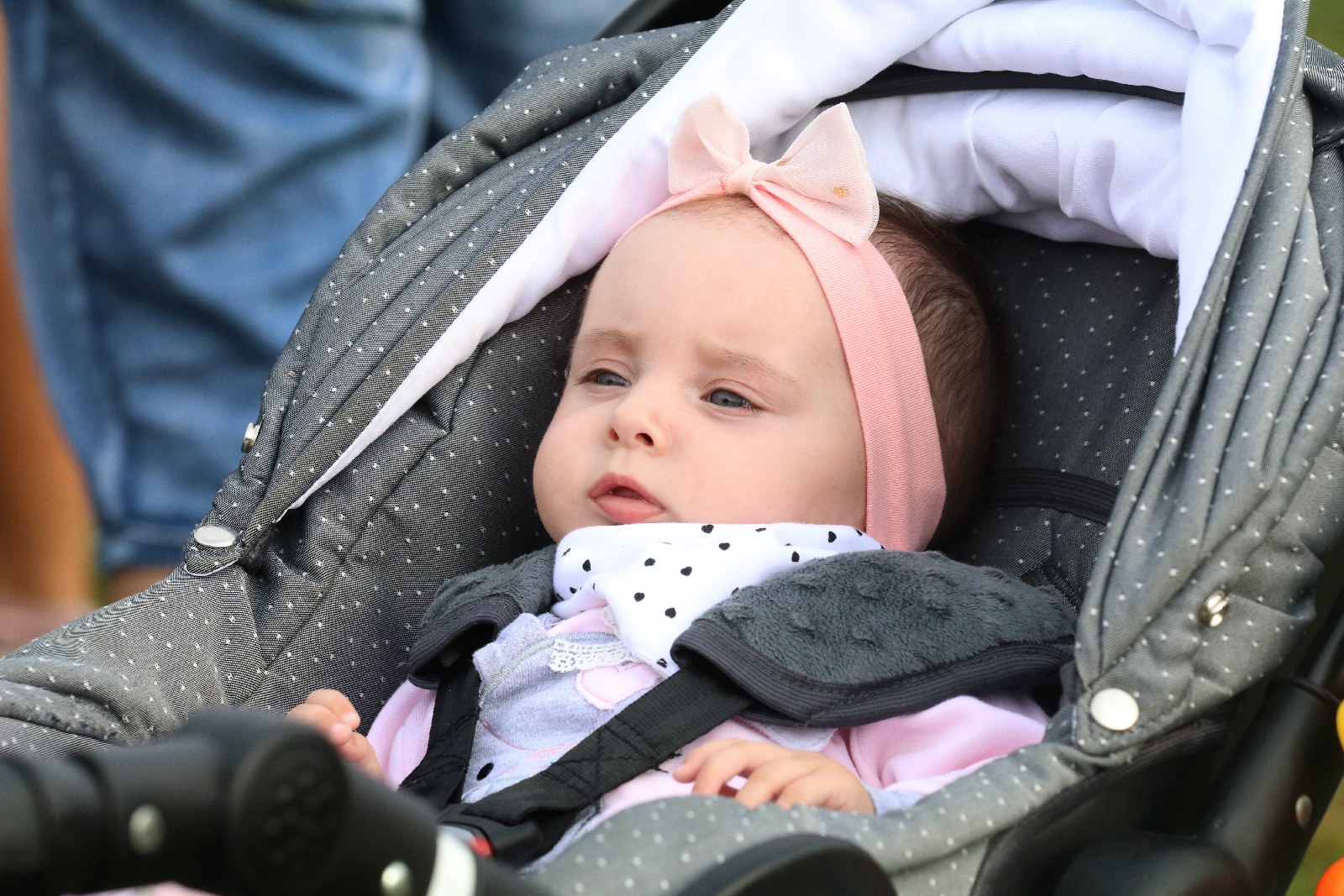 Piknik dla zdrowia w Krotoszycach