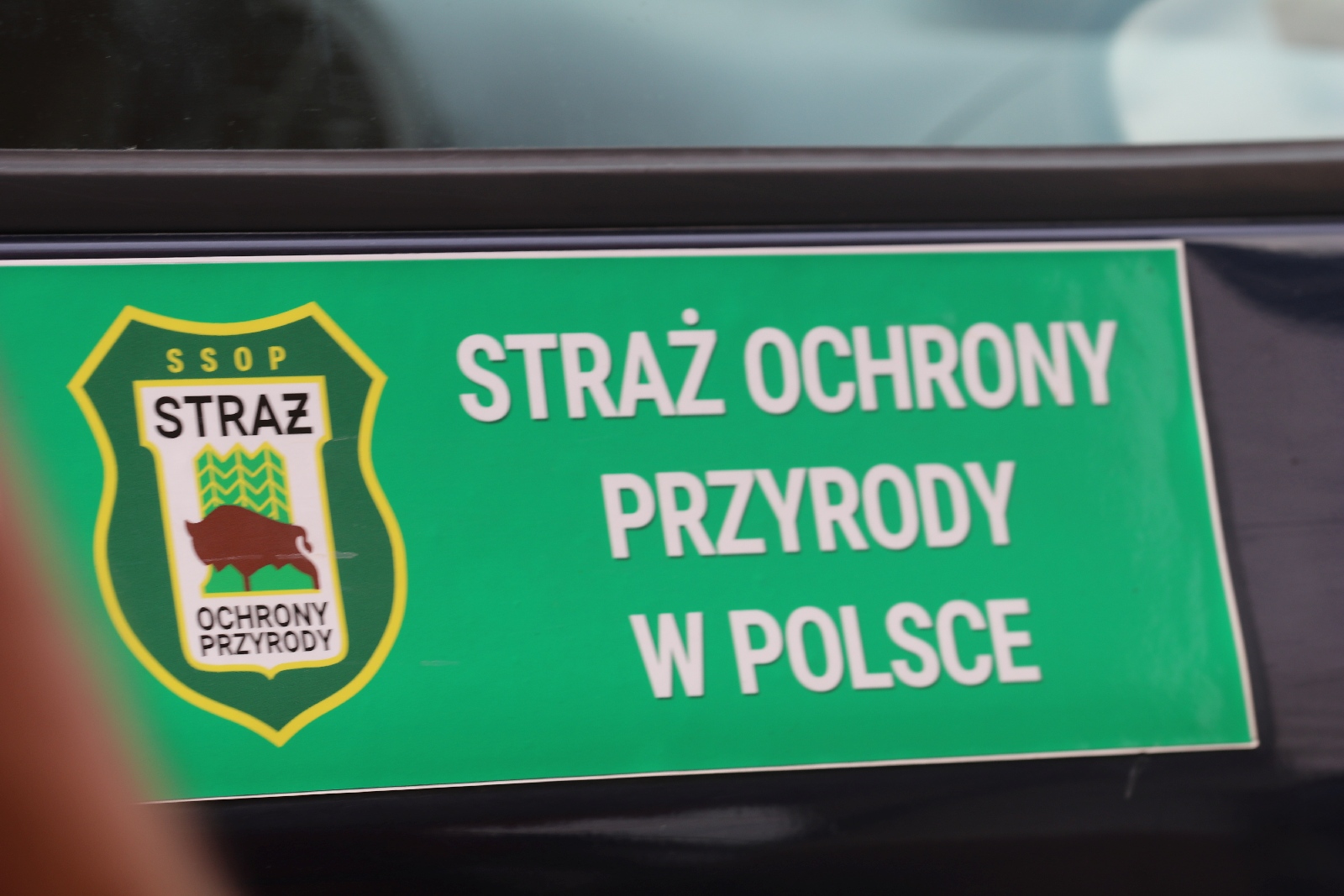 Piknik dla zdrowia w Krotoszycach
