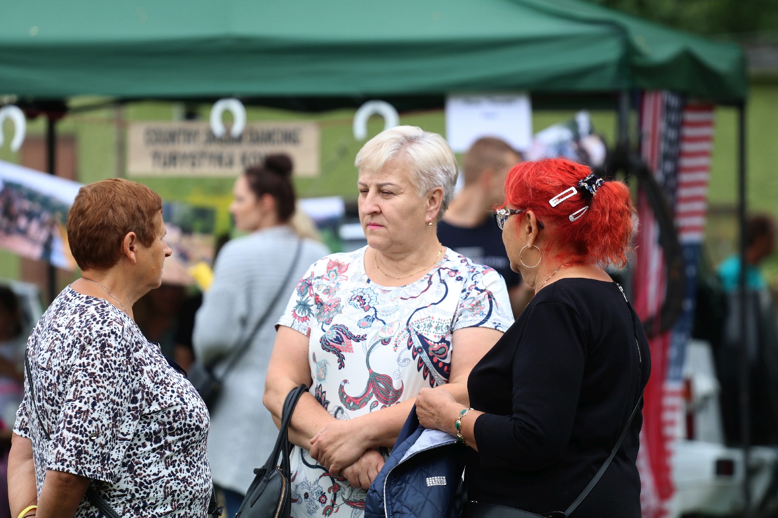 Lokalni pasjonaci i artyści spotkali się w Legnickim Polu