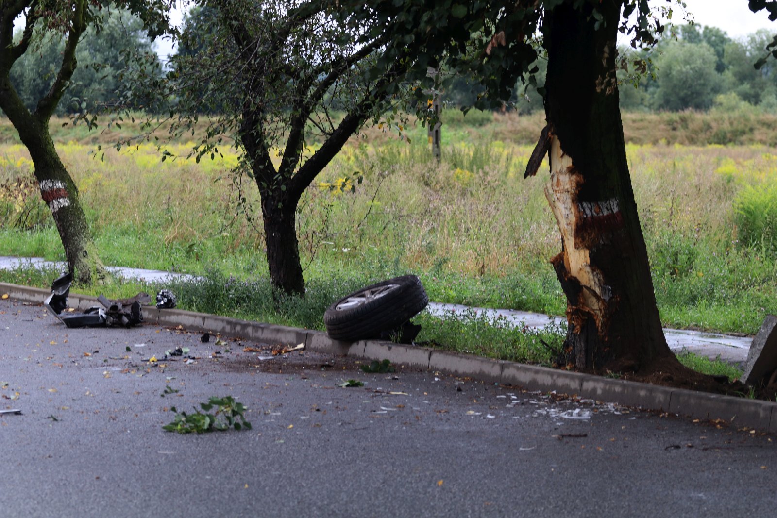 Wypadek na ulicy Nowodworskiej. Kierowca forda skasował latarnię