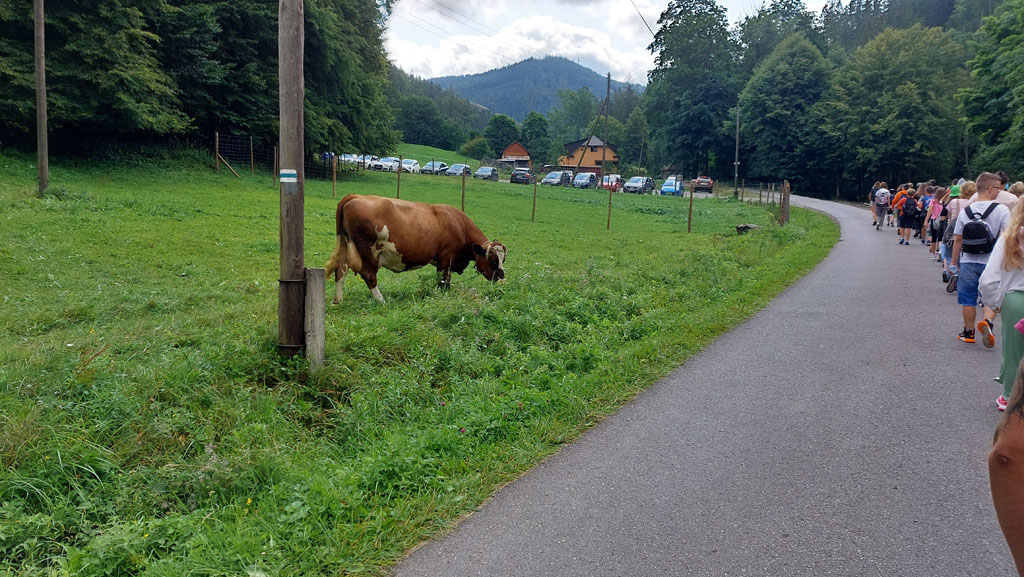 Podopieczni TPD po raz pierwszy na kolonii w Beskidach