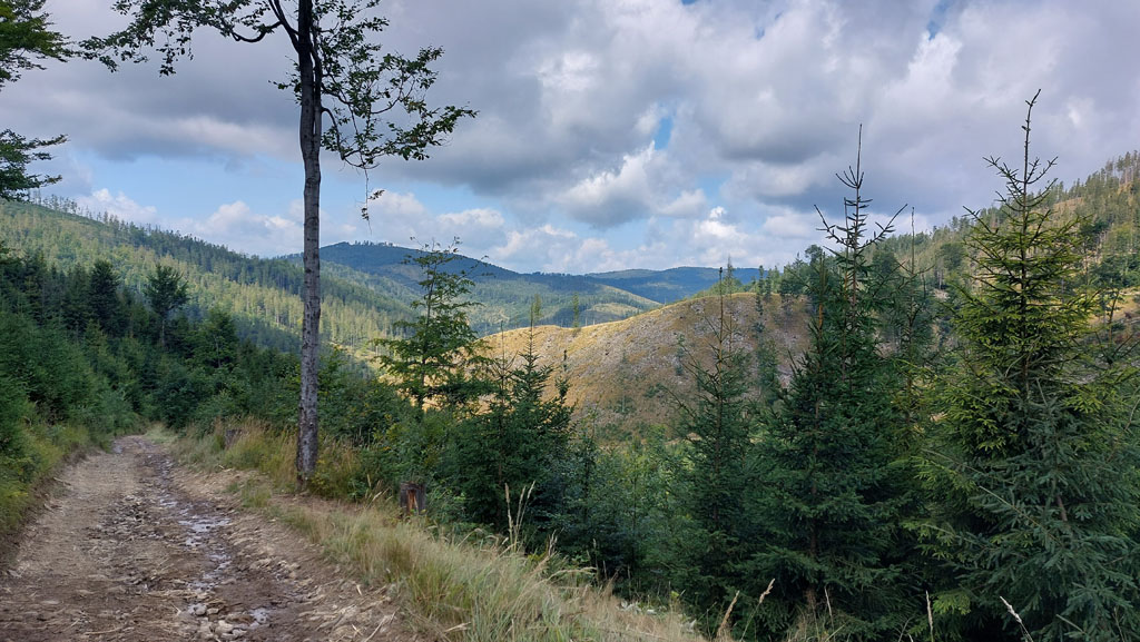 Podopieczni TPD po raz pierwszy na kolonii w Beskidach