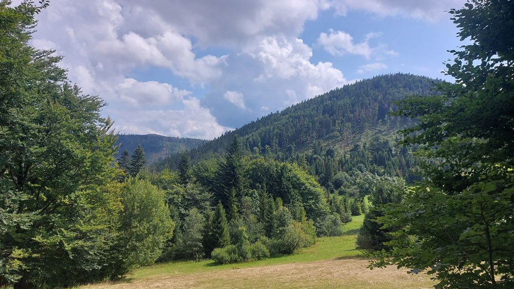 Podopieczni TPD po raz pierwszy na kolonii w Beskidach
