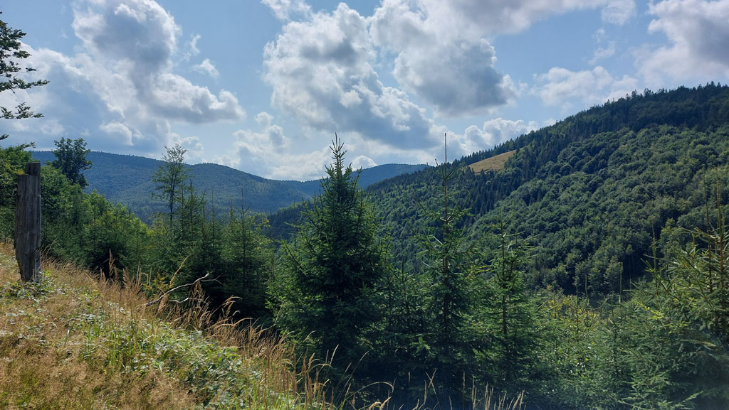 Podopieczni TPD po raz pierwszy na kolonii w Beskidach