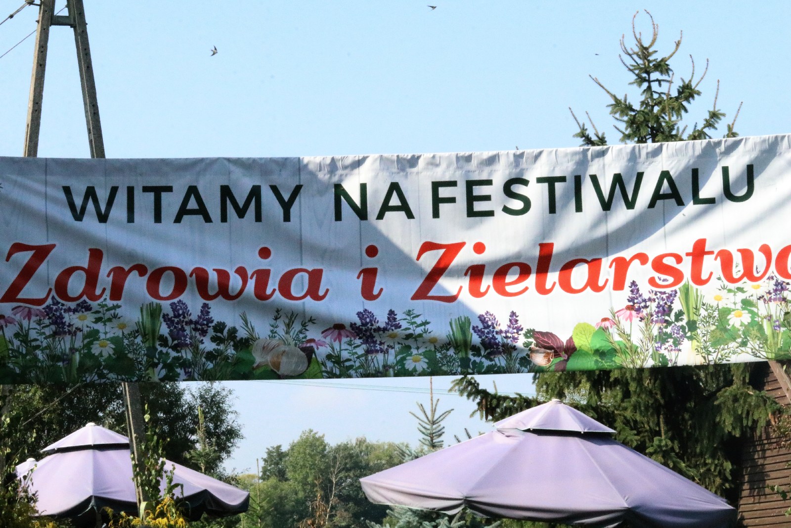 Festiwal Zdrowia i Zielarstwa w Duninie. Ponad 50 wystawców
