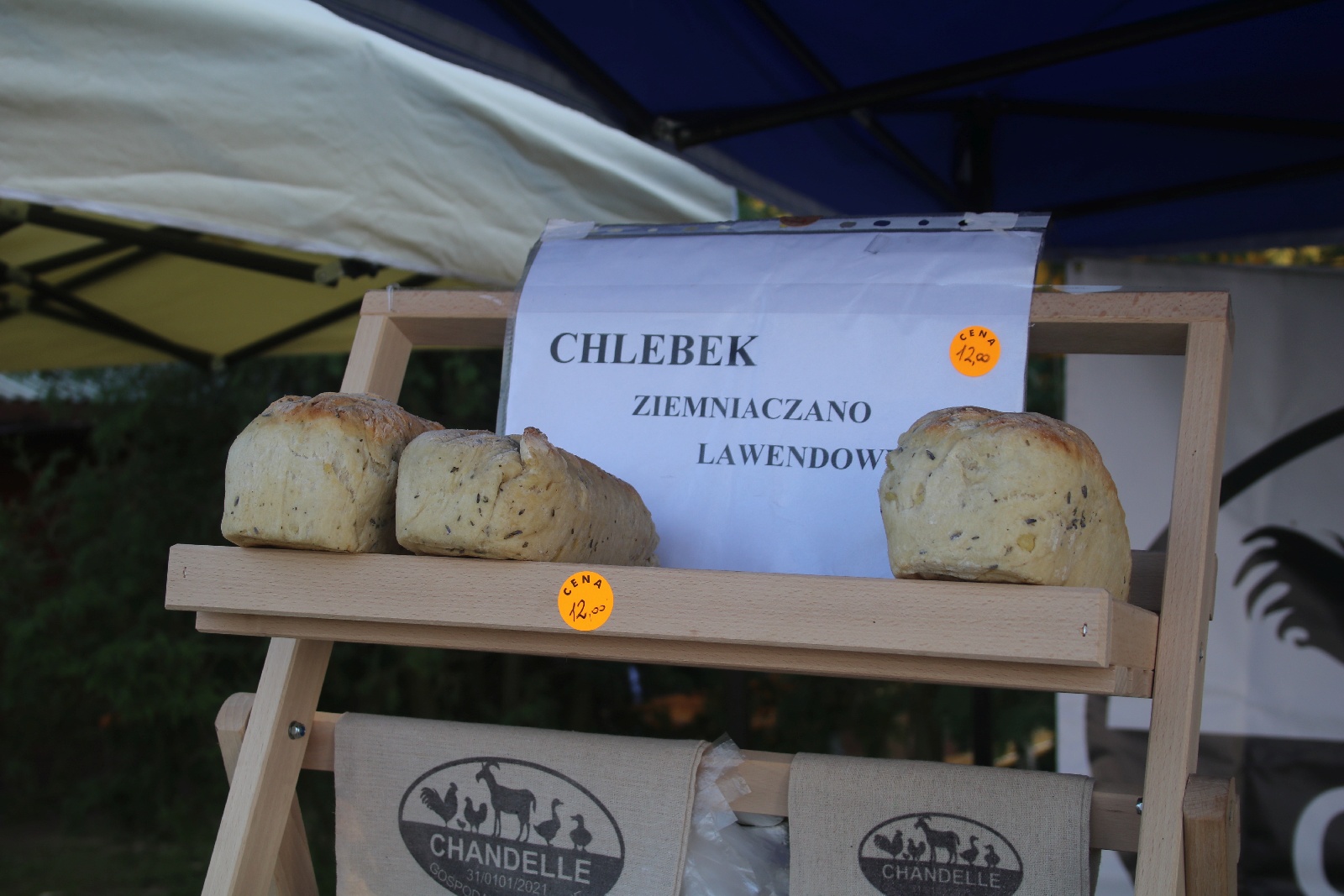 Festiwal Zdrowia i Zielarstwa w Duninie. Ponad 50 wystawców
