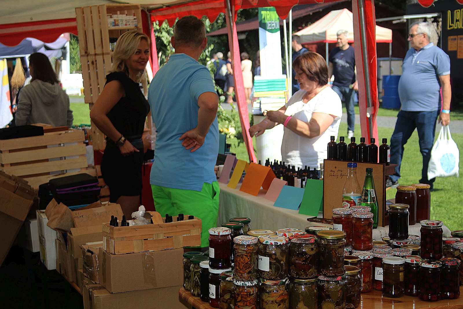 Festiwal Zdrowia i Zielarstwa w Duninie. Ponad 50 wystawców
