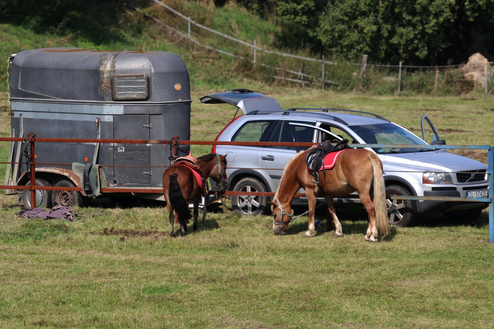 Festiwal Zdrowia i Zielarstwa w Duninie. Ponad 50 wystawców

