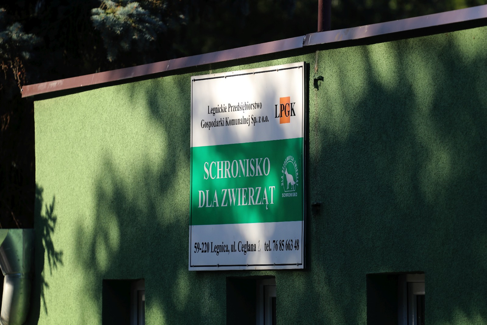 Zebrali pieniądze, kupili karmę i przywieźli ją do schroniska