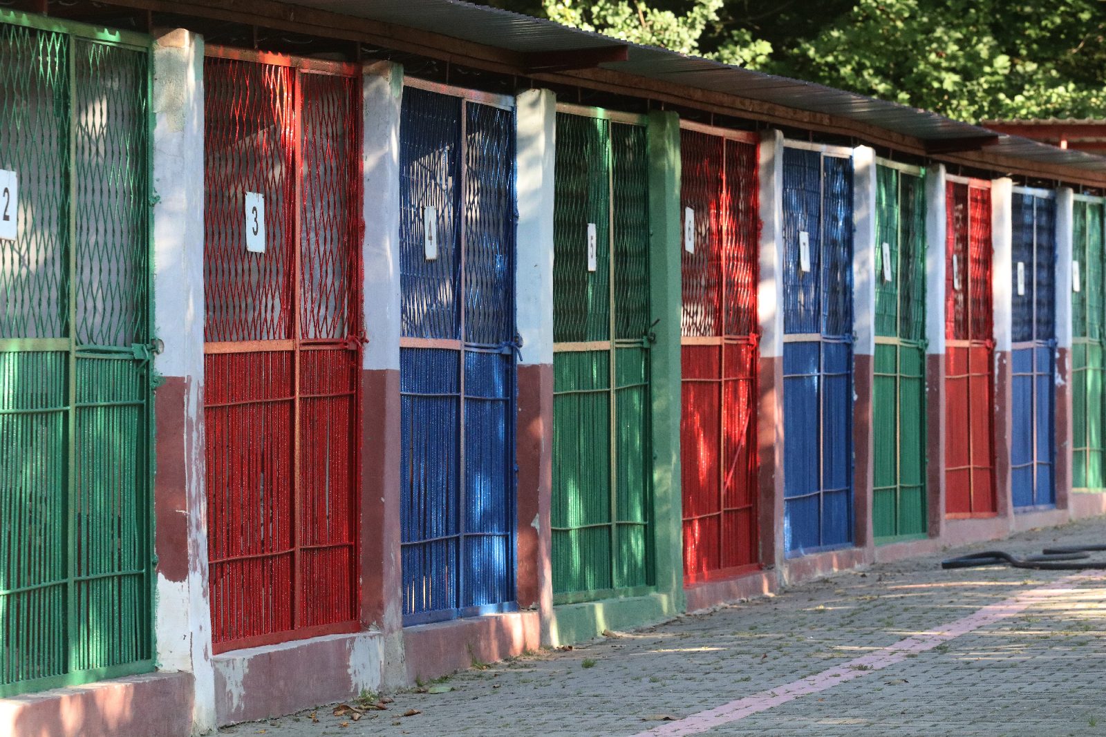 Zebrali pieniądze, kupili karmę i przywieźli ją do schroniska