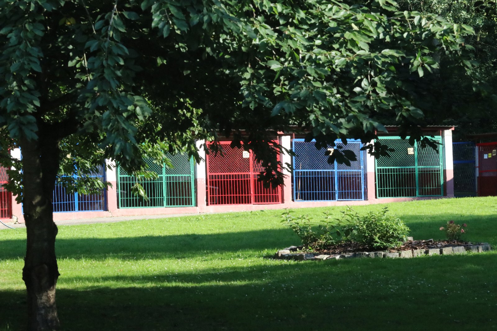 Zebrali pieniądze, kupili karmę i przywieźli ją do schroniska