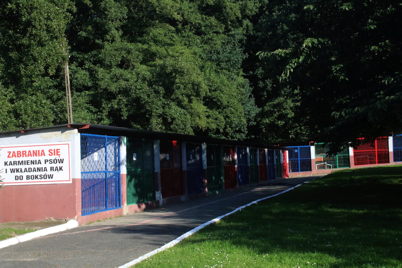 Zebrali pieniądze, kupili karmę i przywieźli ją do schroniska