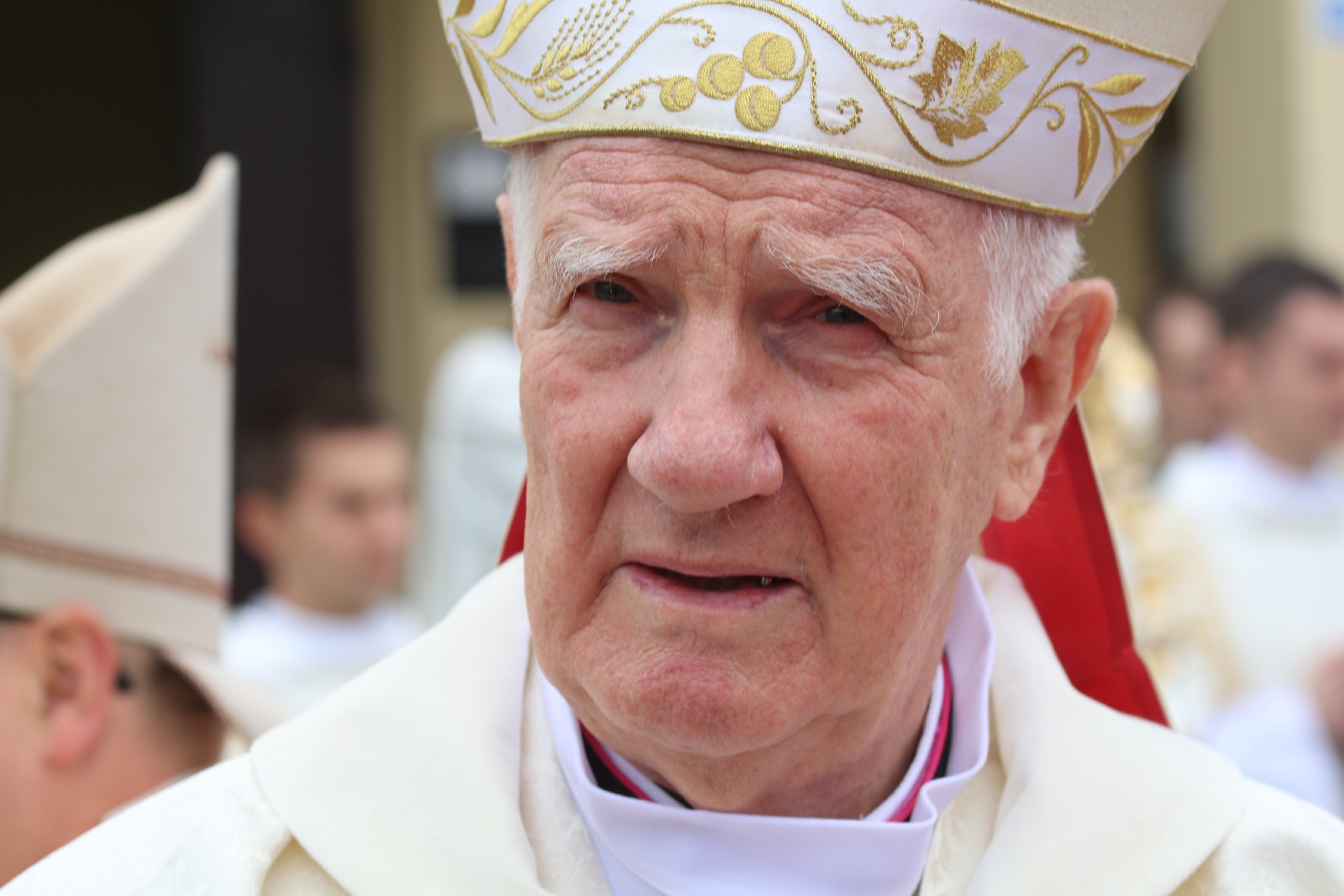 Ingres Księdza Biskupa Legnickiego Andrzeja Siemieniewskiego
