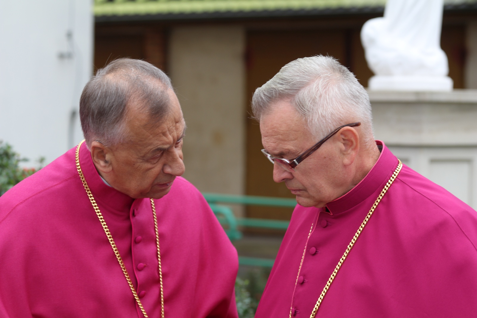 Ingres Księdza Biskupa Legnickiego Andrzeja Siemieniewskiego
