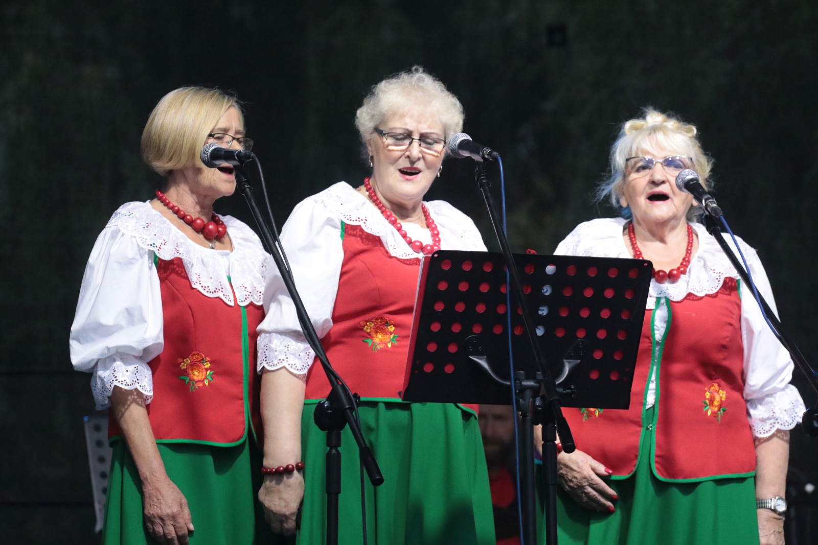 Kunicka FOLK-BIESIADA za nami. Gwiazdą wieczoru  Drewutnia