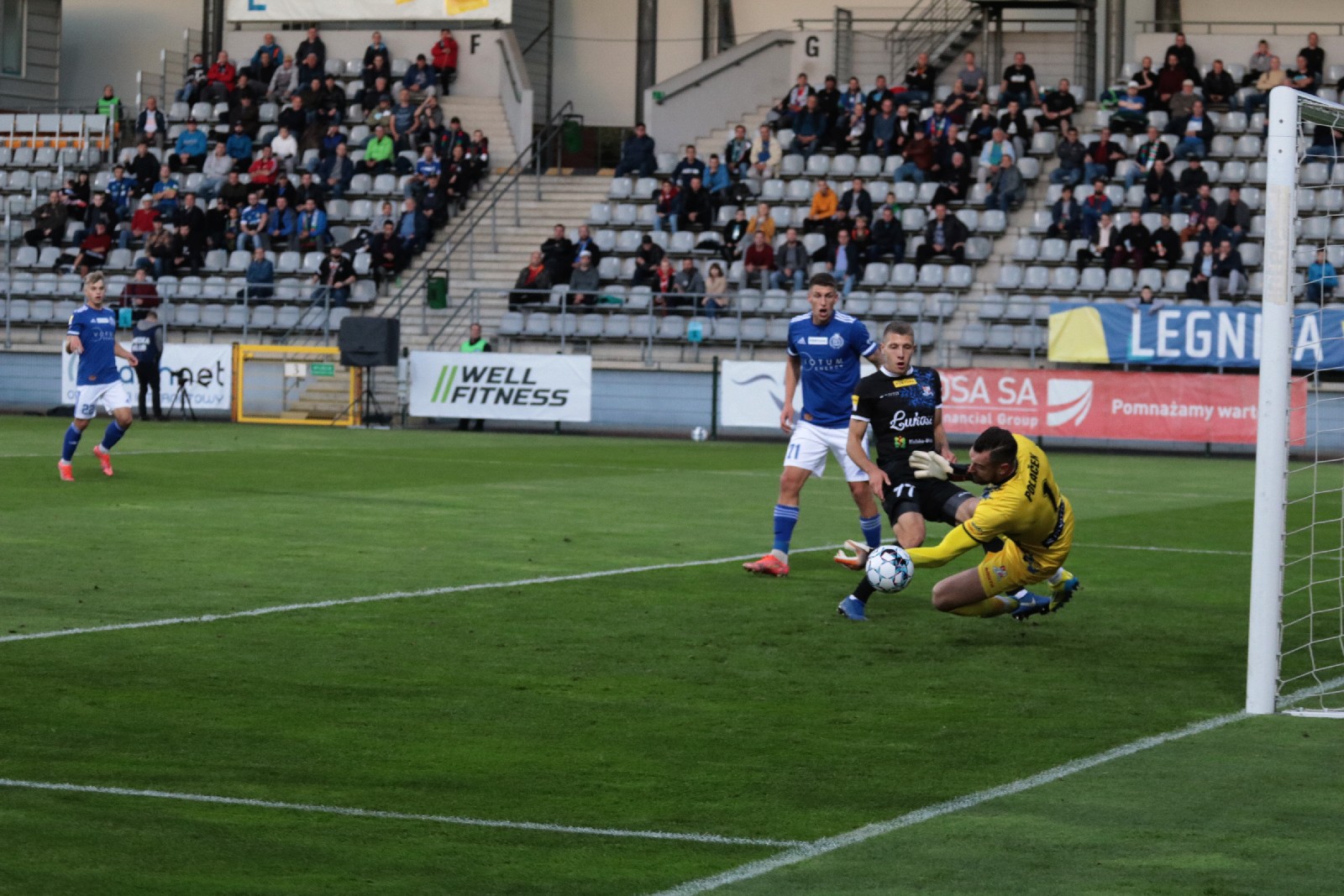 Miedź Legnica pokonuje Podbeskidzie Bielsko Biała
