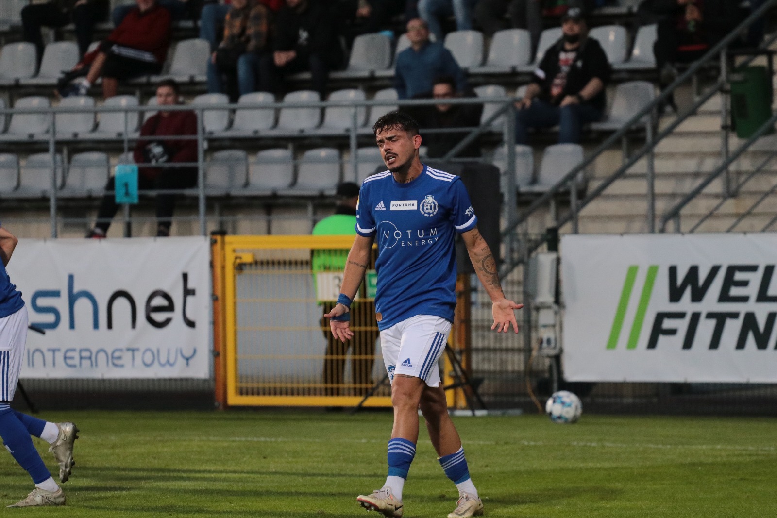 Miedź Legnica pokonuje Podbeskidzie Bielsko Biała
