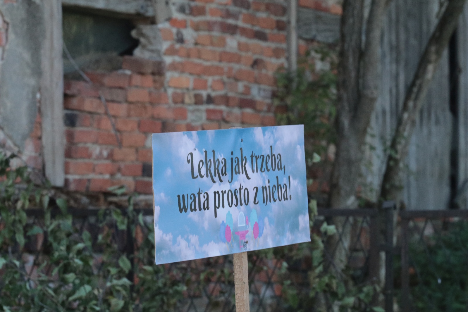 Festa Odpustowa, czyli spotkanie rodzin w Koskowicach