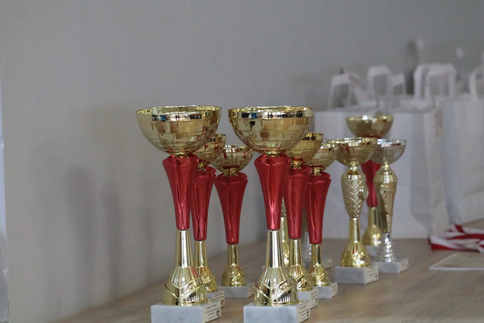W Kunicach rozegrano turniej Brydża Sportowego dla Debiutantów