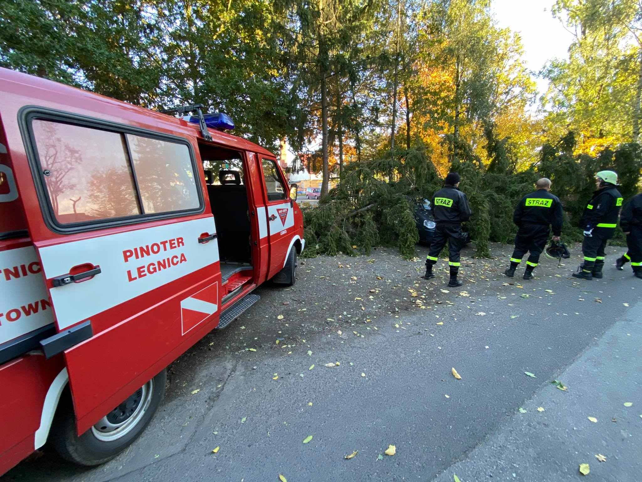 Klub Płetwonurków OSP-ORW „Pinoter” w akcji podczas wichury