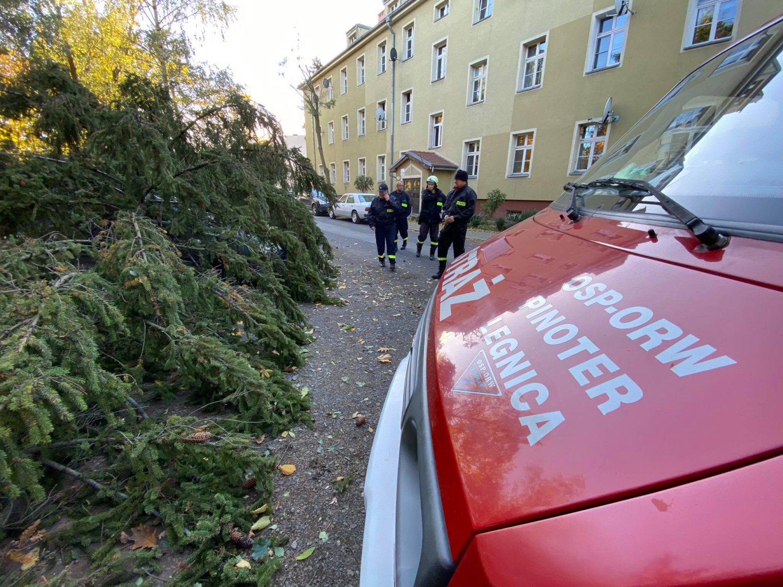 Klub Płetwonurków OSP-ORW „Pinoter” w akcji podczas wichury