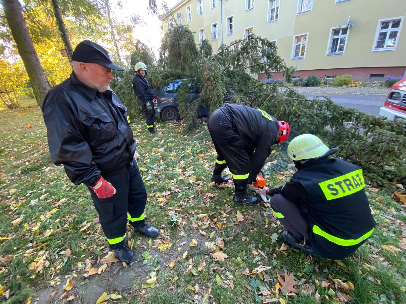 Klub Płetwonurków OSP-ORW „Pinoter” w akcji podczas wichury